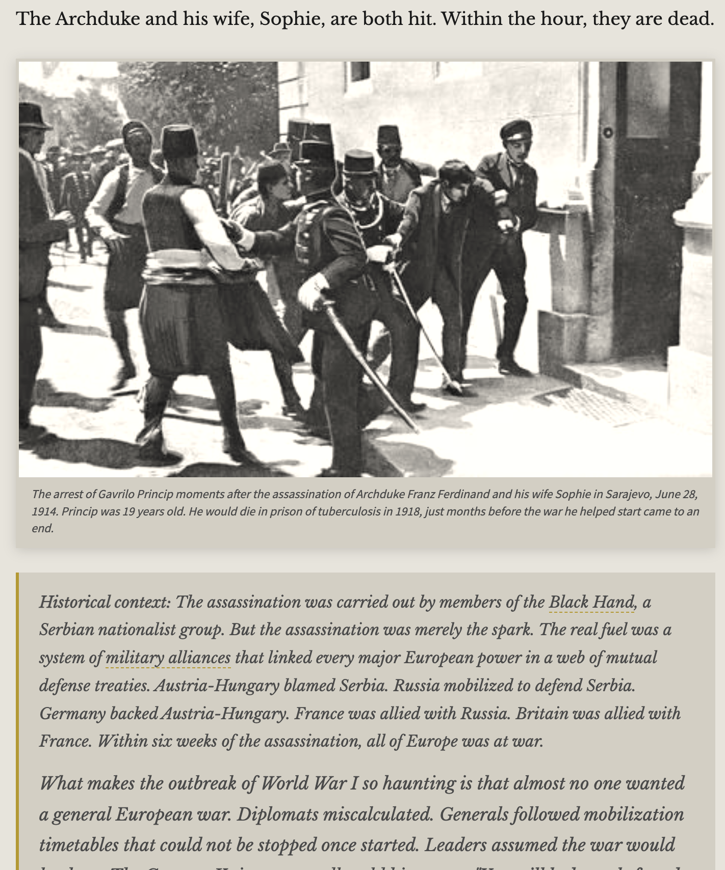 WWI simulation screen 2